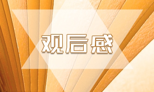 立德树人与家校社协同育人家庭教育公开课实用观后感